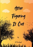 J. C Seedoyal | After Figuring It Out | Taschenbuch | Englisch (2025) | [.]
