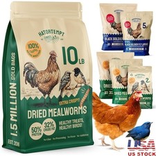 Non-GMO Dried Mealworms Protein Chicken Treats Bird Food Wild Bird Feeders New