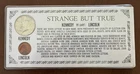 1964 Kennedy Half Dollar and Lincoln Penny Silver Circulated Coin Set