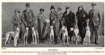 Saluki ''Slughis'' - 1934 Vintage Dog Art ''Photo'' Print - CUSTOM MATTED