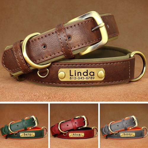 Soft Leather Padded Dog Collar Personalised Adjustable Pet Name Number
