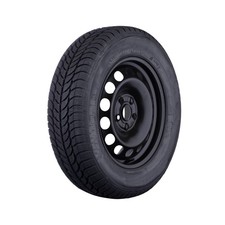 4x Winterräder für Ford Transit/Tourneo Reifen 205/60R16 Pirelli