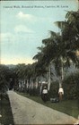 CASTRIES ST LUCIA CARIBBEAN Botanical Station Central Walk Antique Postcard