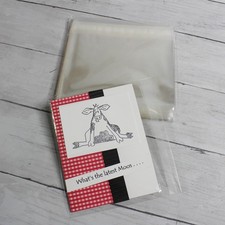 250 Clear Envelopes With Flap Seals Size 5 7/8" x 4 1/2" Fits A2 Card