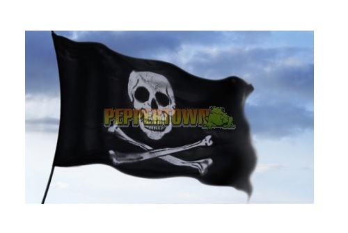 Pirate Flags Skull & Crossbones or Swords Playground Accessories Cubbyhouse Fort - Bild 4 von 9