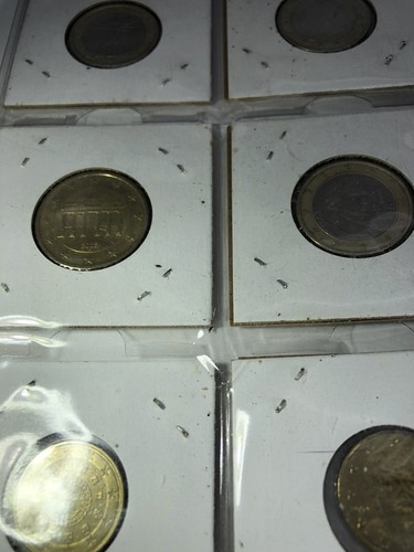 European Coin Lot - Multi Nation Euros and British Pound 1999 - 2004 - Picture 18 of 18