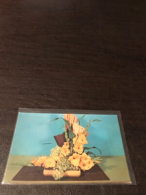 VINTAGE UNPOSTED POSTCARD - GLADIOLUS - NOWETA GARDENS - ST. CHARLES - MINN.