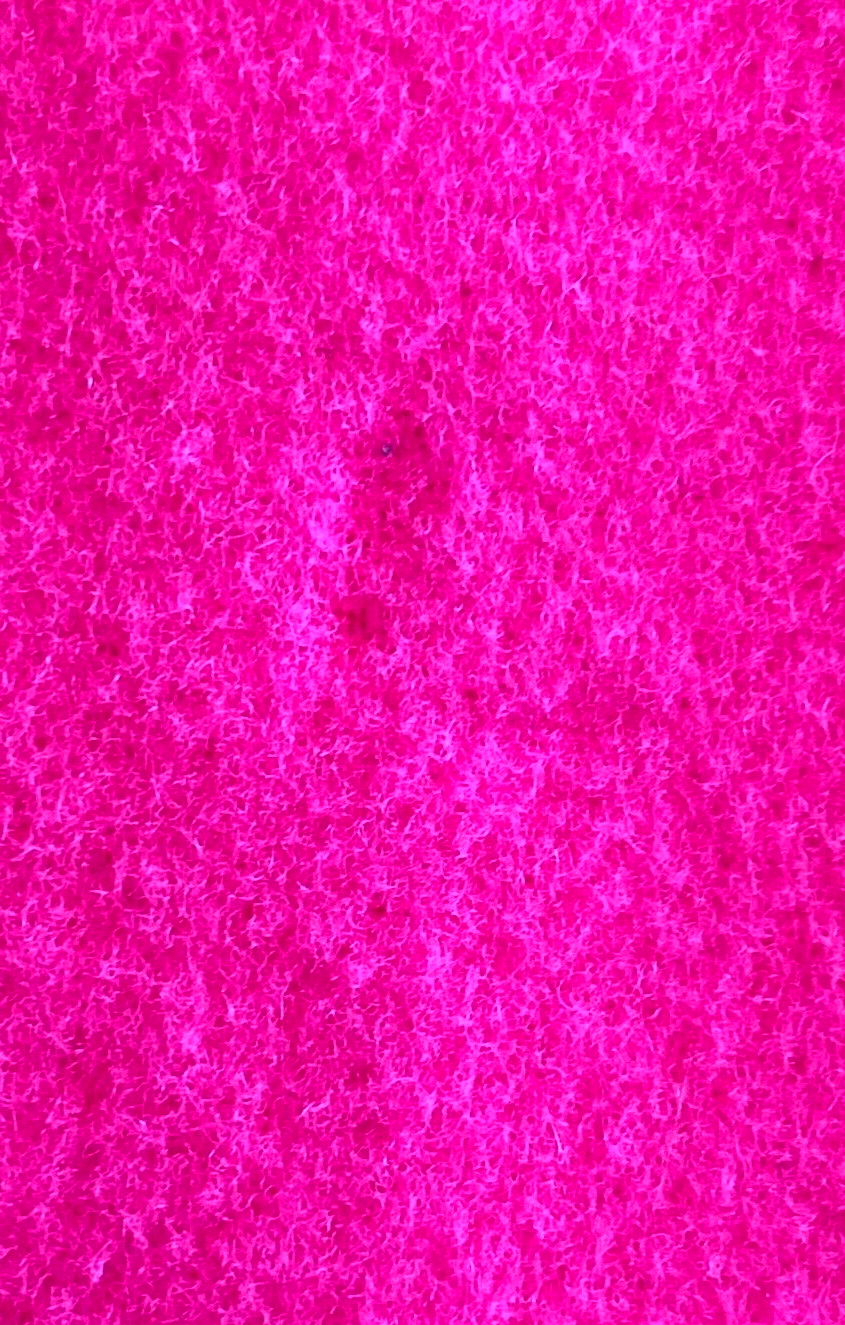 Picture 8 of 10