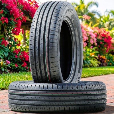 2 Tires Goodyear EfficientGrip Performance 215/55R18 95H Performance