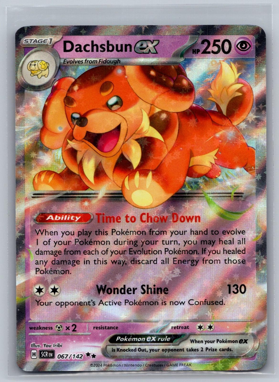 Dachsbun ex 67/142 Double Rare Stellar Crown Pokemon Near Mint