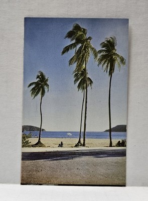 Los Hornos Palm Trees and Beach Acapulco, Guerrero, Mexico Vintage Postcard