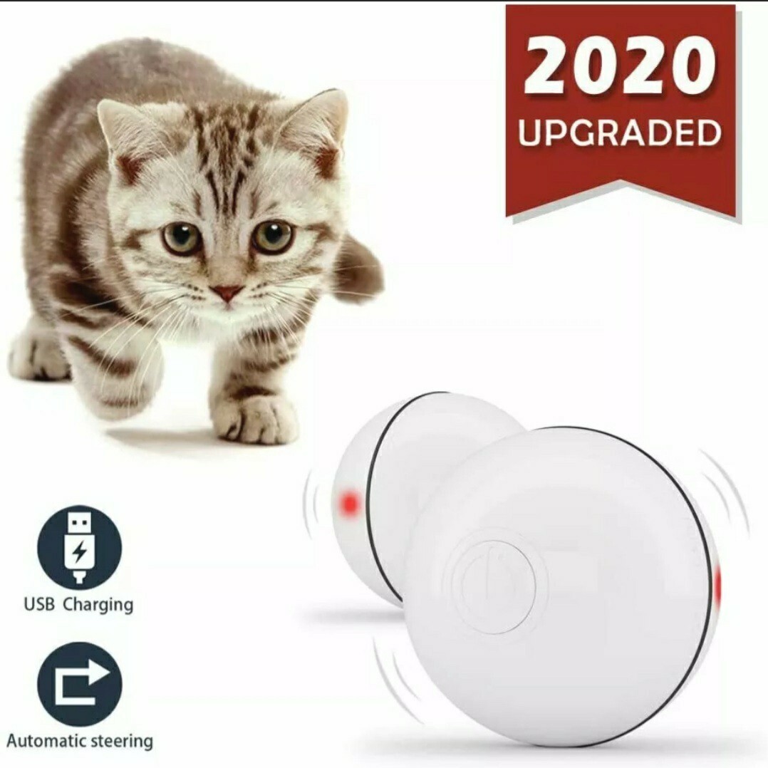 yofun interactive cat toy