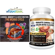 #1 Potent Candida Cleanse Yeast Support and Detox with Herbs Enzymes