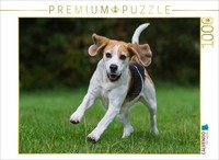 Calvendo Puzzle Beagle In Action | 1000 Teile Lege-GrößE 64 × 48 Cm Foto-Puzzle