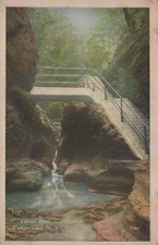 Whiteborder Vintage Postcard