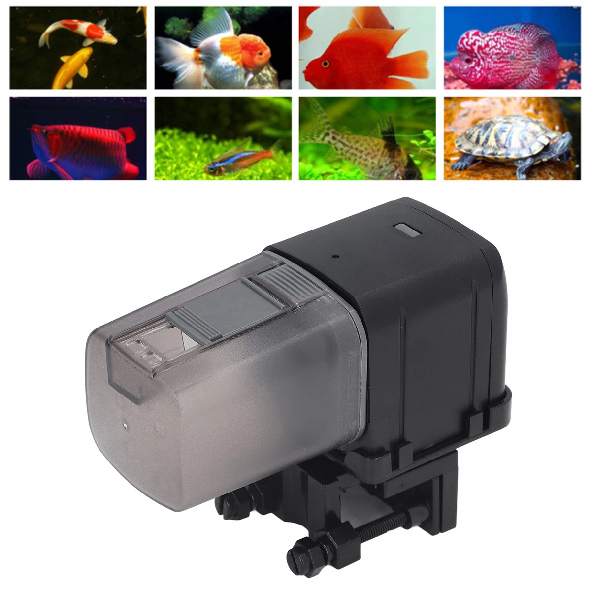 Automatic Fish Feeder Timing Remote Intelligent Control WiFi Fish