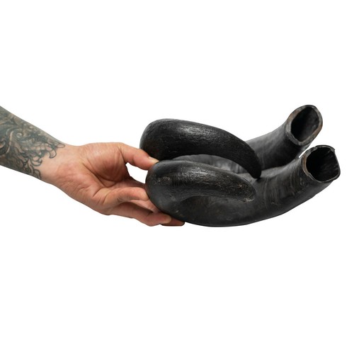 Rozie's Naturals Water Buffalo Bully Horn Dog Chews Pack of 2 New