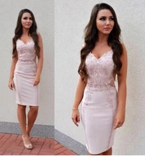 Bodycon Dress Size 12 Pink Nude Lace Party Evening Occasion Wedding Cocktail