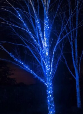 3x MICRO LED LICHT SET 80 blaue LEDs - Niedervolt Außen/Innen Dekoration