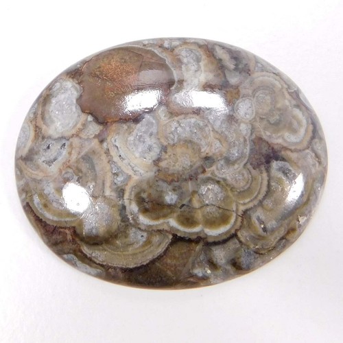 44,75Cts. 100 % natürlicher einzigartiger Pilz Rhyolith oval Cabochon lose Edelstein