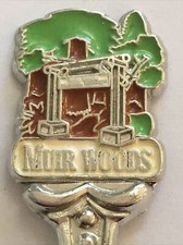 Vintage Souvenir Spoon US Collectible Muir Woods California
