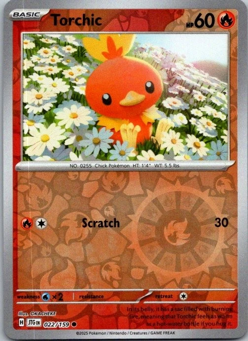 ARS AU 真贋鑑定】英語版アチャモ Torchic 12/1111 Torchic Pokémon