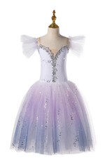 Long Ballet Dress for Girls Kids Ballerina Dress Performance Ballet Dance Dress