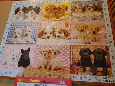 Weekend Sale SEEING DOUBLE White Mountain Puzzle 1000 p only 1 anywhere Complete