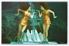 c1960s Twin Robots Mermaids On The Moon Weeki Wachee Springs Florida FL Postcard