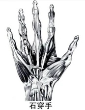 Stone Penetrating Fingers Dit Da Jow Training & Healing Liniment - 4 oz bottle