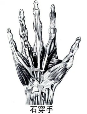 SHEN MARTIAL ARTS Stone Penetrating Fingers Dit Da Jow Training & Healing Liniment - 2 oz bottle