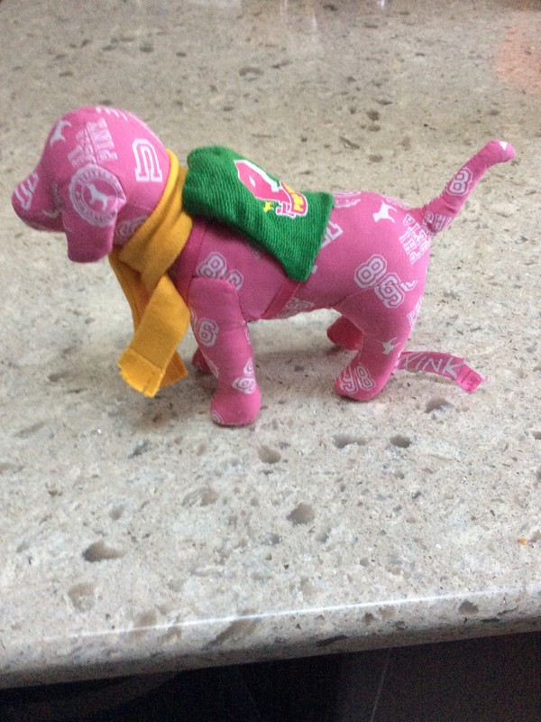 Victoria's Secret Pink Plush Stuffed Dog Phi Beta College Green Backpack Scarf 