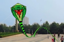 Large Snake Kite with Line Long 26ft Tail Easy Flying Kids Adults