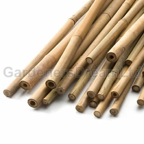 250 X 3FT HEAVY DUTY BAMBOO GARDEN CANES STRONG THICK QUALITY PLANT SUPPORT - Picture 4 of 4