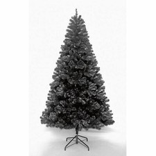 Black Christmas Tree Xmas Colorado Spruce 4ft 5ft 6ft 7ft 8ft 9ft 10ft Free Dvry