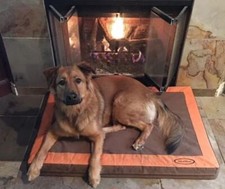 MUD RIVER MEMORY FOAM CUSHION CRATE PAD / HOU...