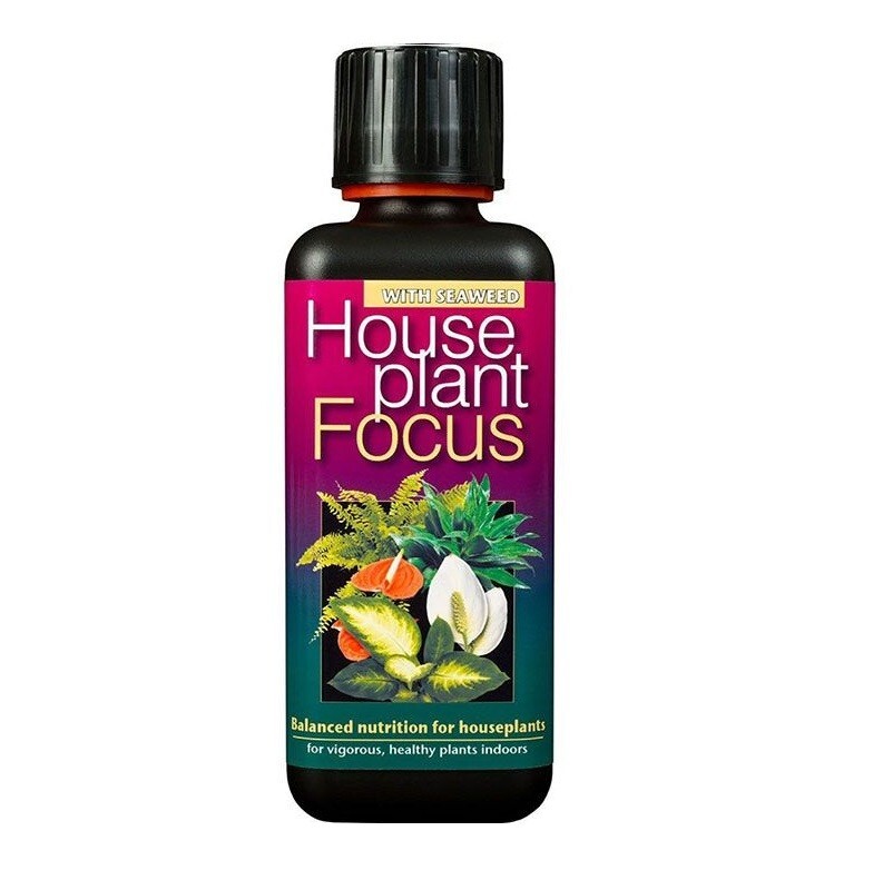 Growth Technology Houseplant Focus 300ml Plant Food Fertiliser