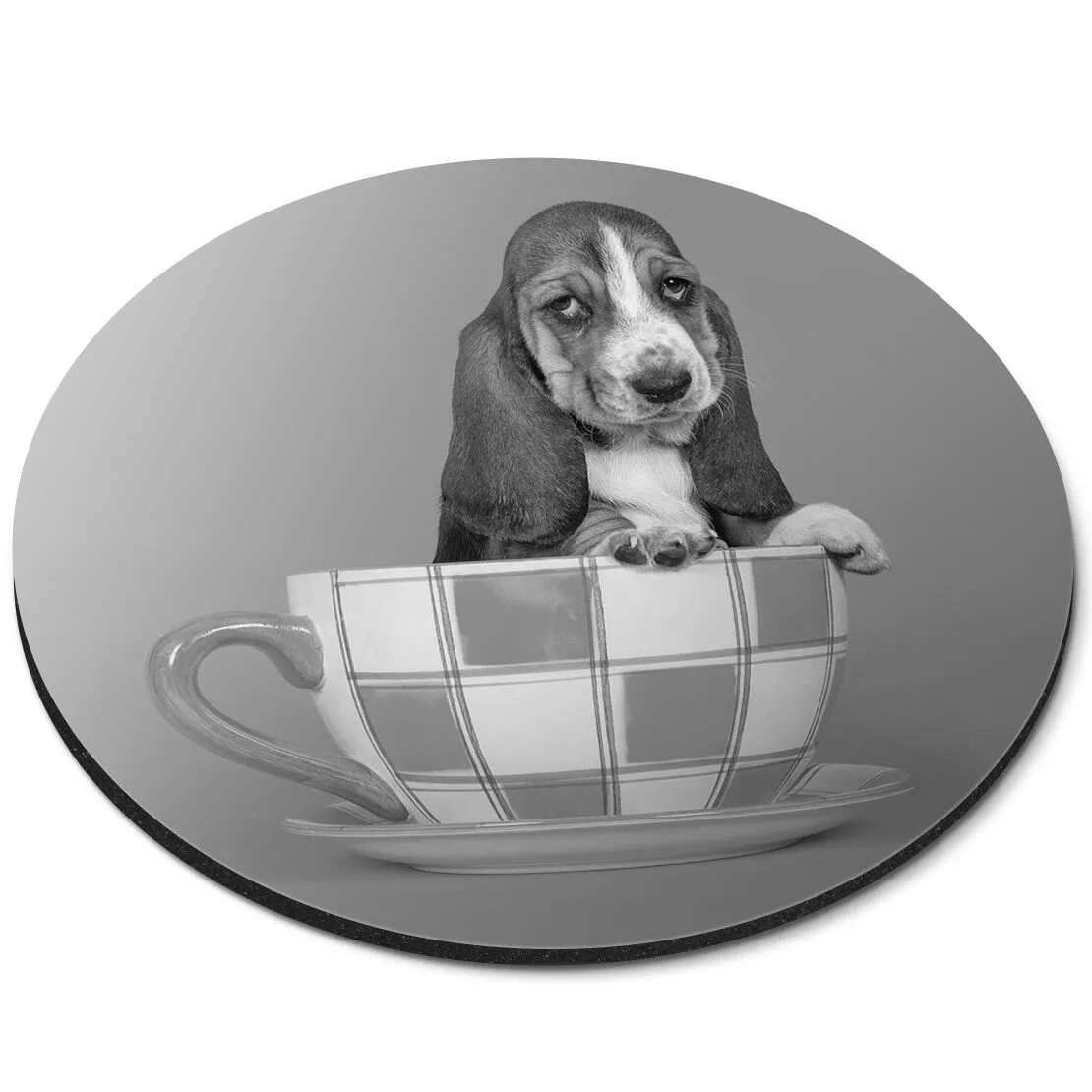 Teacup basset hound puppies sales