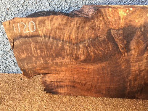 Walnut Burl Slab Billet Crafts Woodworking 1" x 8 1/2" x 17" #1120 - Picture 2 of 10