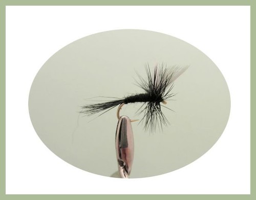 Trout Flies, 200 Flies 3 Boxes, All Named in description Mixed Size, Fly Fishing - Picture 5 of 12