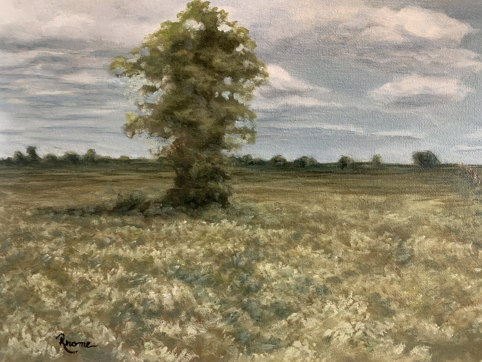 Picture 4 of 11
