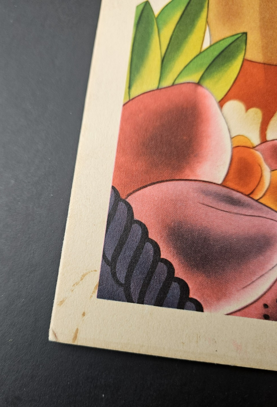 Picture 8 of 24