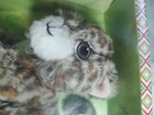 HTF Retired NRFB American Girl Lea DOTY Magry Pet — photo 4