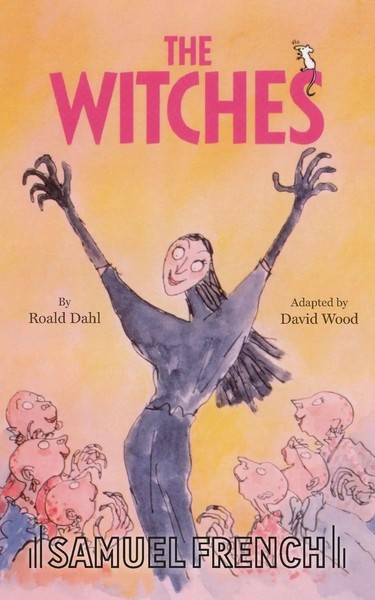 The Witches David Wood Taschenbuch Kartoniert / Broschiert Englisch 2010-image