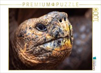 Calvendo Puzzle Galapagos Giant Tortoise | 1000 Pieces, Finished Size 25.2 × 18.