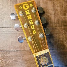 Guitarra Acústica Gemson WX500 Vintage Japón Tapa Sólida Años 70 Martin Copia