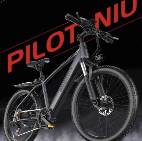 E Bike 26 Zoll / Schnellladung 6AH / 48V Brushless Motor / ContinueFlight 60KM