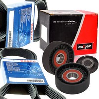 Bosch 5PK850 5PK890 Keilrippenriemen + Rolle FüR C30 C70 S40 V50 Focus II Ford