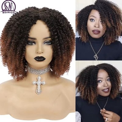 MSIWIGS Women's Short Afro Kinky Curly Wigs Ombre Brown Synthetic Middle Part