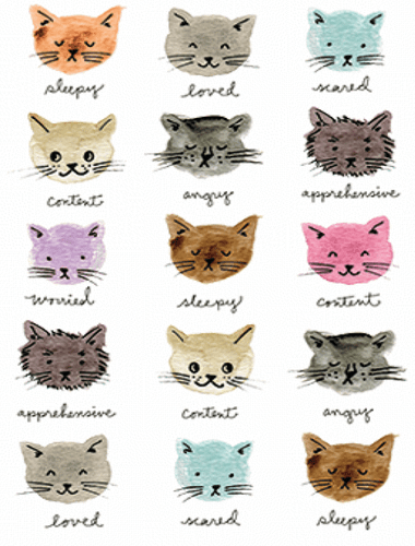 Katzenshirt, Cat Moods Shirt, lustiges Katzenshirt, Small - 5X - Bild 2 von 2